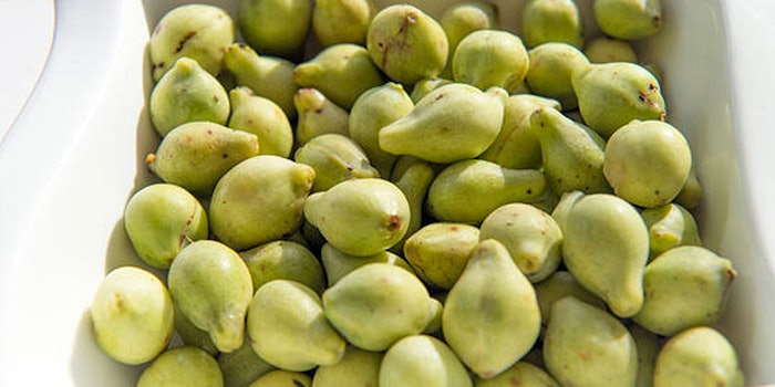 Native Extracts has expanded its eco-conscious ingredient portfolio by providing Kakadu Plum Cellular Extract in four formats.