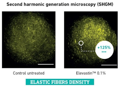 Gattefosse Ct2110 Image1 Re Size