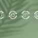 WWP received the EcoVadis Silver Rating and SA8000 certification for its sustainability practices. WWP also launched its Beauty Rebirth Recycling Program to properly recycle hard-to-recycle beauty packaging.
