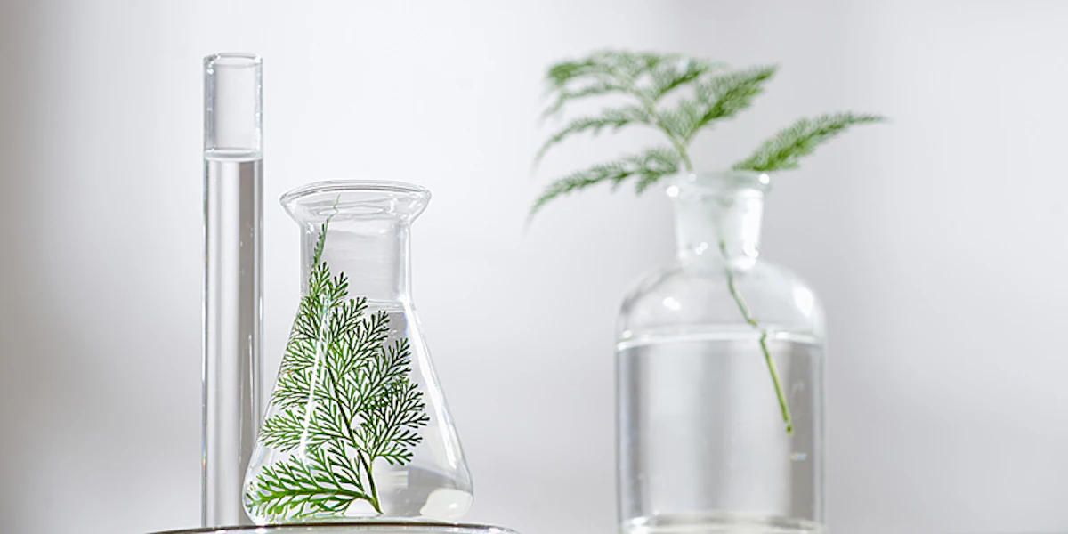 Calyxt Pursues Plant-based Cosmetic Technologies | Cosmetics & Toiletries