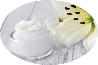 Shinetsu Ct2110 Image2 Creamflower