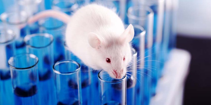 WhiteMouseinLabTestTubes_850x425