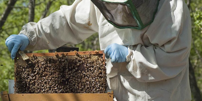 The conservation agreement enforces sustainability in KKWA's beekeeping practices and supply operations, while also providing conservation benefits and funding for Jelinkon Crema, per an article from Modern Ghana.