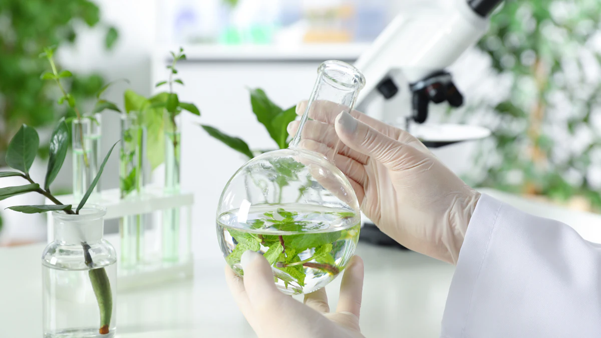 The Estée Lauder Cos. Green Score Method Standardizes Sustainability - Vimarsana News
