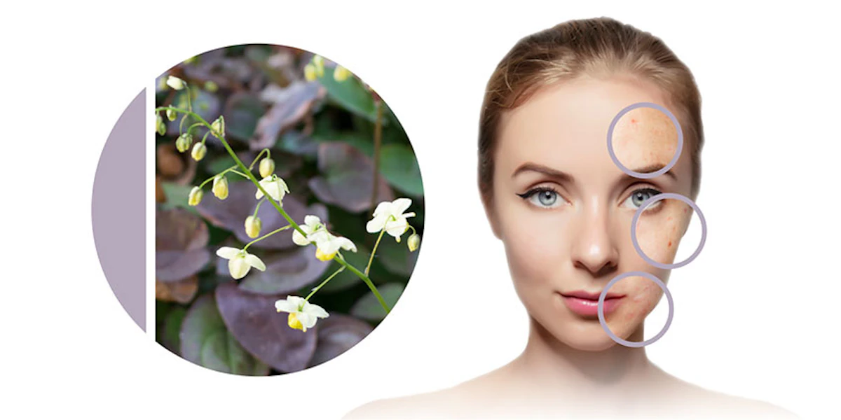 Grandiciin from Biocogent, LLC - Vimarsana News
