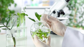 Leaves Glassware Chem Lab Dreamstime M 141306755