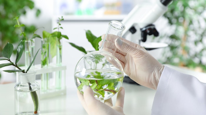 Leaves Glassware Chem Lab Dreamstime M 141306755