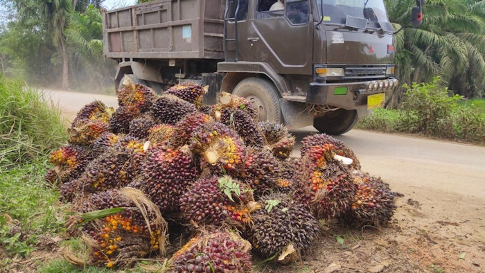 With the help of Unilever's partner Premise and local smartphone users, Unilever can get a better picture of its palm oil supply chain from plantation to end-product.