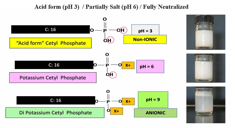 Comparatively Speaking: Anionic vs. Crypto Anionic Surfactant ...