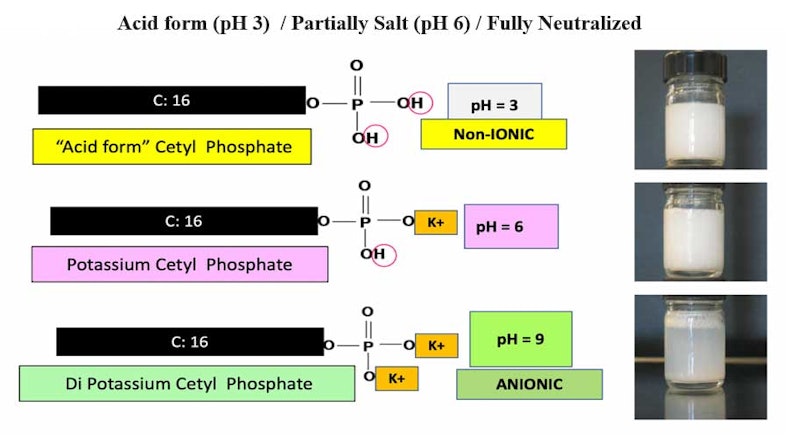 Comparatively Speaking: Anionic vs. Crypto Anionic Surfactant ...