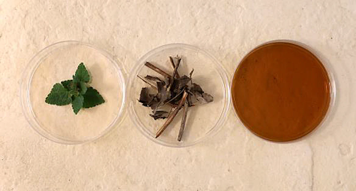 Givaudan Active Beauty's Upcycled Patchoul'Up Rebalances Sebum - Vimarsana News