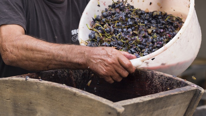 Wine-making by-products in particular grape pomaces have been of great interest to the cosmetic industry due to phenolic compounds. Applications with wine by-products were analyzed to study effectiveness and stability.