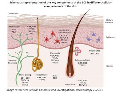 Eurofins Ct2203 Image