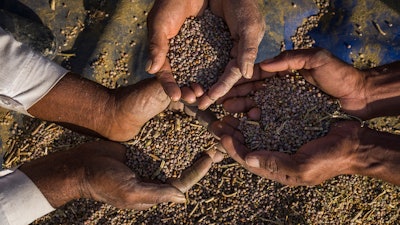 Solvay’s Jaguar range of polymers is naturally derived from guar beans.