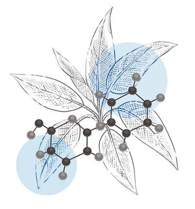 Galactinol Advanced is based on resurrection plants that are uniquely equipped for survival.