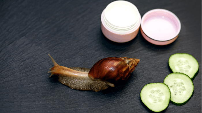 Hyaluronic acid and antioxidants found in snail mucin have been used to treat skin disorders since ancient times.