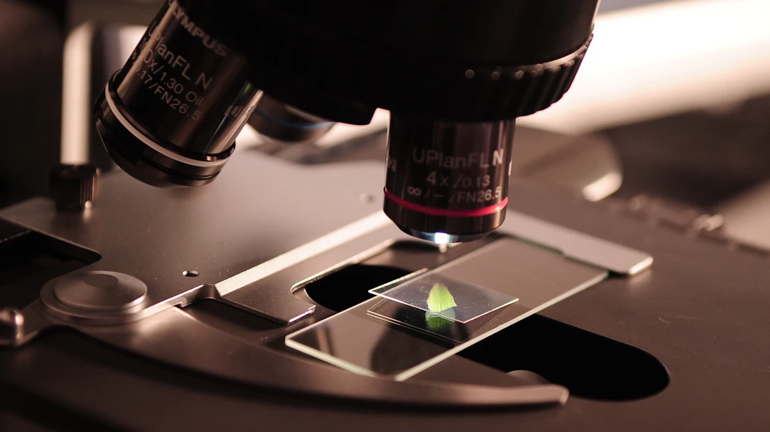 7 Years in the Making: CE Recommends In vitro SPF Double Plate Test ...