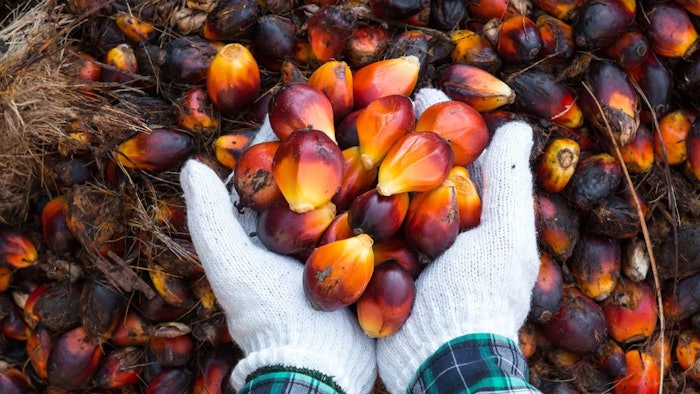 BASF's blockchain platform, developed with Bext360, provides better traceability and ingredient transparency for palm kernel oil.