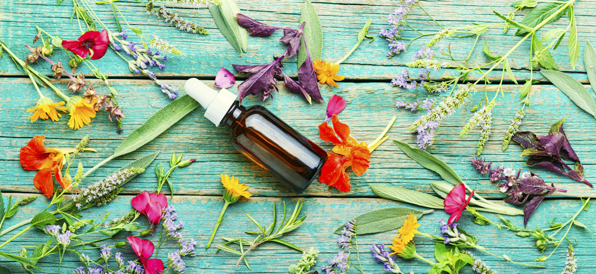 OnScent and Partners Showcase 5 Natural and Sustainable Fragrance and Ingredients - Vimarsana News