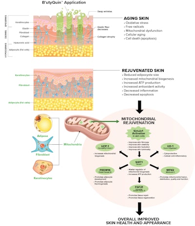 Trinutra Ct2205 Image3