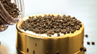 In this 'Industry Insight,' Hemali Gunt, Ph.D., head of clinical scientific affairs for Burt’s Bees, offers insights into how Burt’s Bees went about formulating its latest mineral sunscreen.