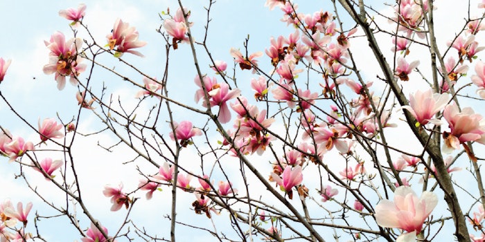 Ct2207 08 Shanghai Jaka 850x425