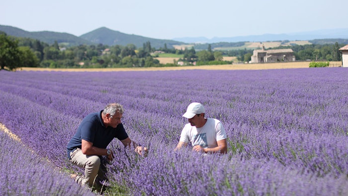 The operational application of this ethical charter will be monitored using indicators adapted to the level of criticality of each of the topics covered in this charter.