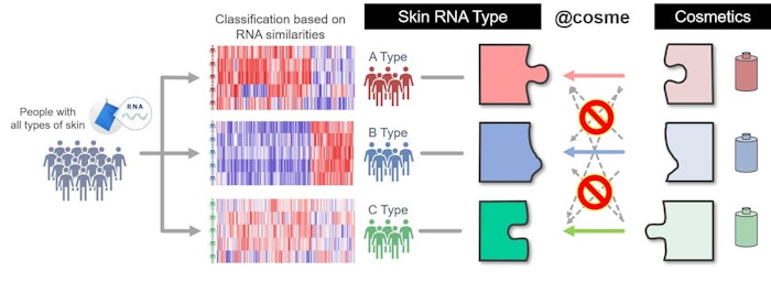 Depiction of cosmetic matching based on skin RNA type