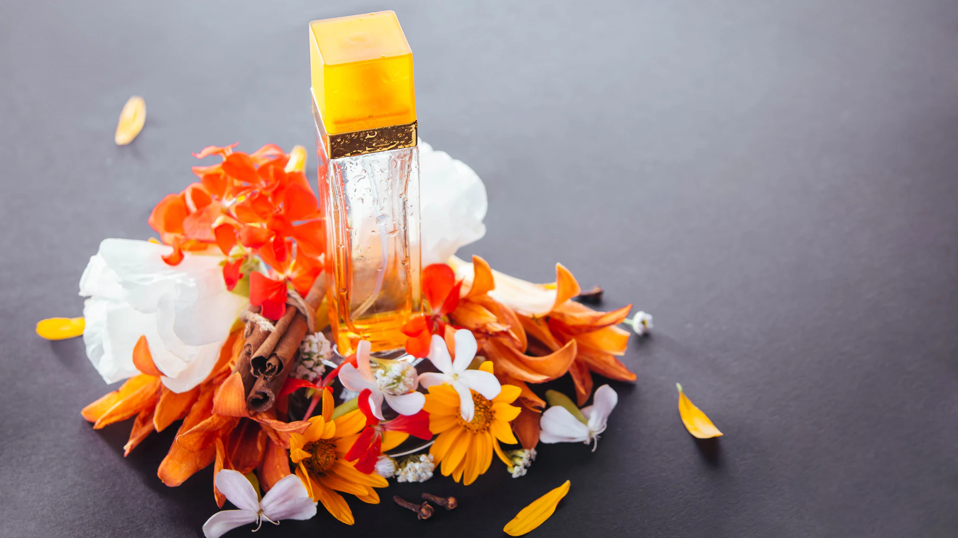 BASF Aroma Ingredients launches Virtual Aroma Assistants - Vimarsana News