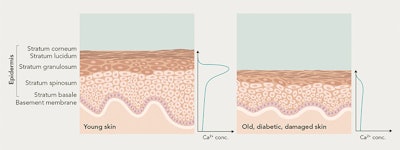 Mibelle Ct2206 Image1
