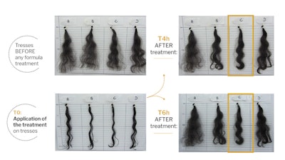 Picture - Volume control & curl definition (A = non treated, B = treated with a placebo hair serum, C = treated with a hair serum incl. 3% C15-19 alkane/hydrogenated polyfarnesene, D = treated with a hair serum incl. 3% cyclopentasiloxane/dimethiconol)