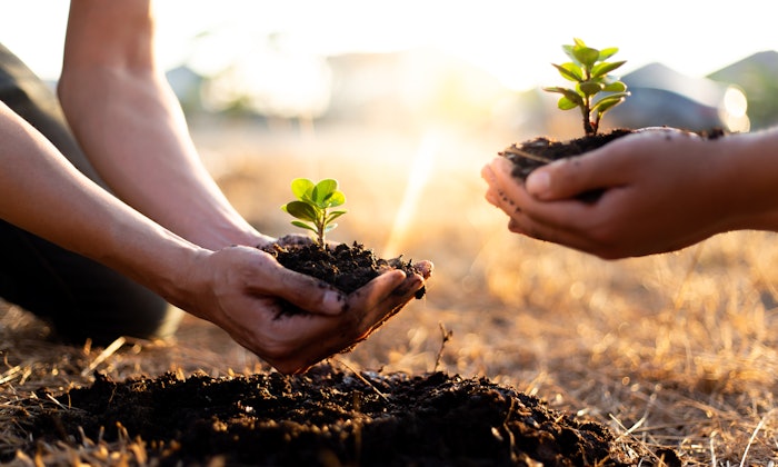 The newly planted trees in California will support biodiversity in areas where land may have been compromised.