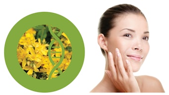 Dermal Rx Acetygen Product Roundup (1)
