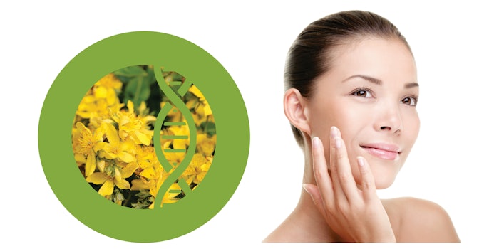 Dermal Rx Acetygen Product Roundup (1)