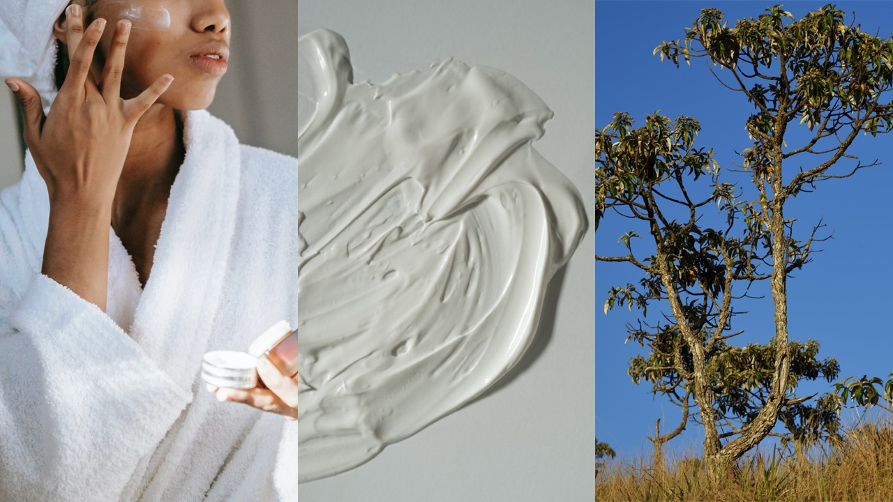 Acme-Hardesty&rsquo;s Citrue Bisabolol is a 100% natural and farnesol-free product proven to possess anti-irritant and anti-inflammatory properties.