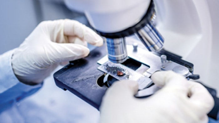 A specimen under a microscope.