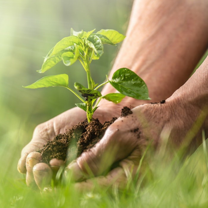 Sustainable company Lignopure has developed a particle technology to fully utilize lignin with its LignoBase line, set to launch in 2023.