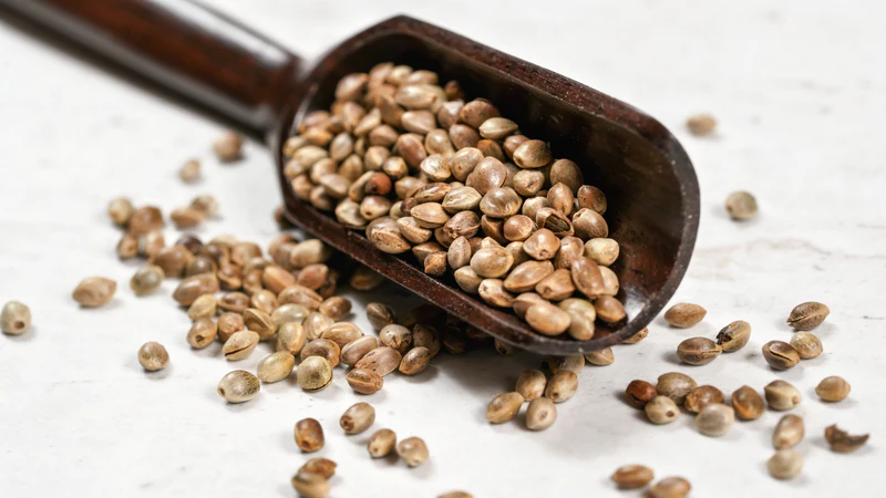 Inolex Launches Sustainable, Cannabis-derived Ingredient | Cosmetics ...