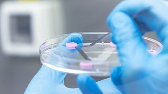 The models allow for the non-invasive measurement of sebum production and should improve the predictivity of in vitro tests of sebum-regulating ingredients.