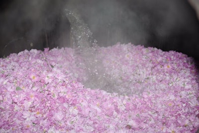 Berje Ct2209 Rosewater Photo 2