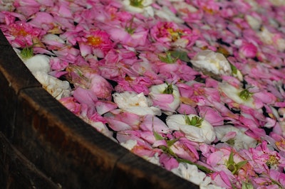 Berje Ct2209 Rosewater Photo 3