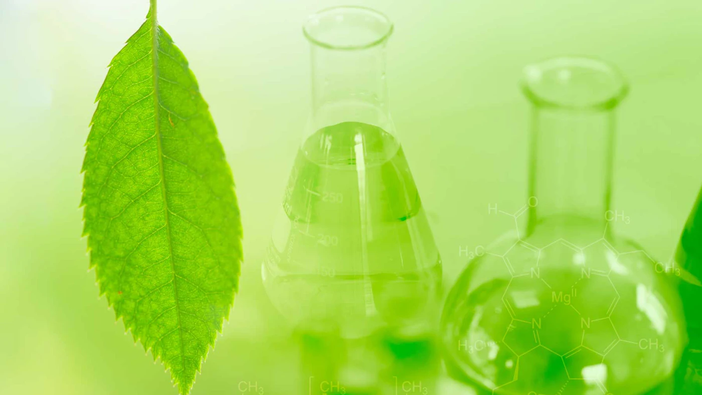 Bio-based 1,2-Alkanediol Blends Extend Inolex's Patent Portfolio ...