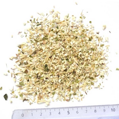 Figure 1. Dipsacus sylvestris ground aerial part