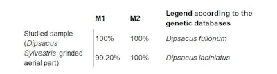 Table 1. NCBI Blast Results: % Identity Between Sample and Reference Sequences