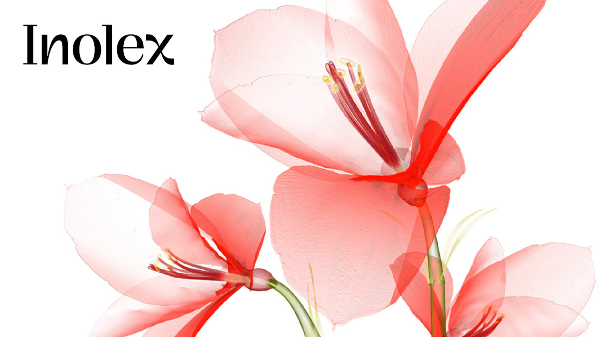 Inolex Rebels with Updated Logo, Website Refresh Fusing Science with Nature - Vimarsana News