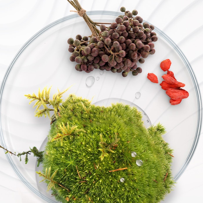 Mibelle Biochemistry has obtained the branded products PhytoSpherix, EnerZea, Adveen and Susttain as a part of an asset deal with Mirexus Inc.