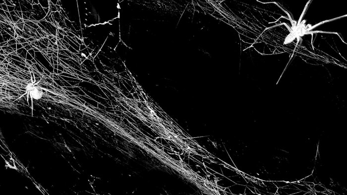 The artificial spider silk protein (spidroin) is woven into a programmable textile to aid in wound care management.