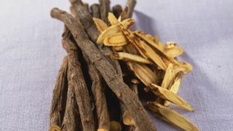 Campo Licorice
