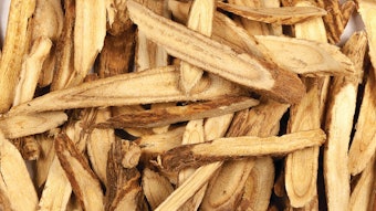 Glycyrrhiza Uralensis