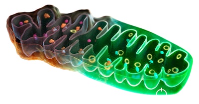 Lipotrue Ct2210 Image2